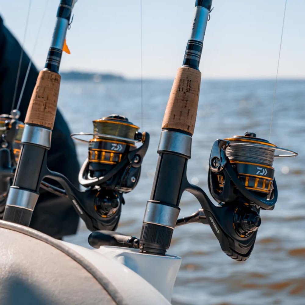 RODS