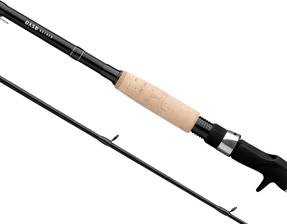 CAÑAS DX SWIMBAIT