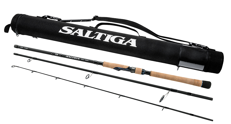 CAÑAS DE VIAJE DE MAR CERCA SALTIGA